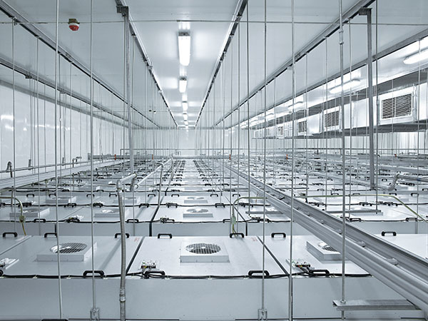 Unité de filtration à ventilateur vs caisson de filtration HEPA : quelle solution de filtration terminale convient le mieux à votre salle blanche ?